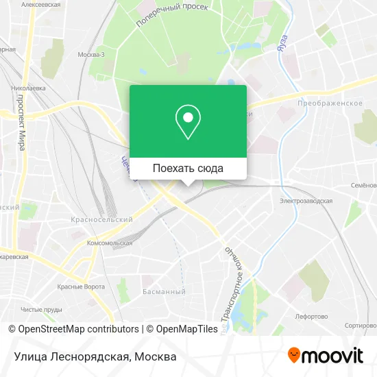 Карта Улица Леснорядская