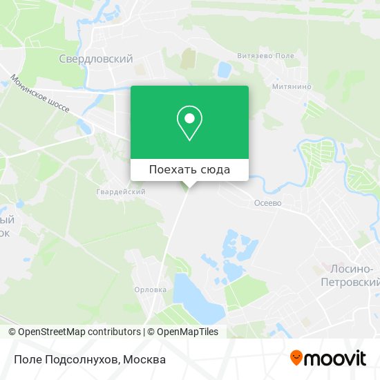 Карта Поле Подсолнухов