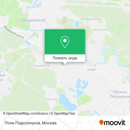 Карта Поле Подсолнухов