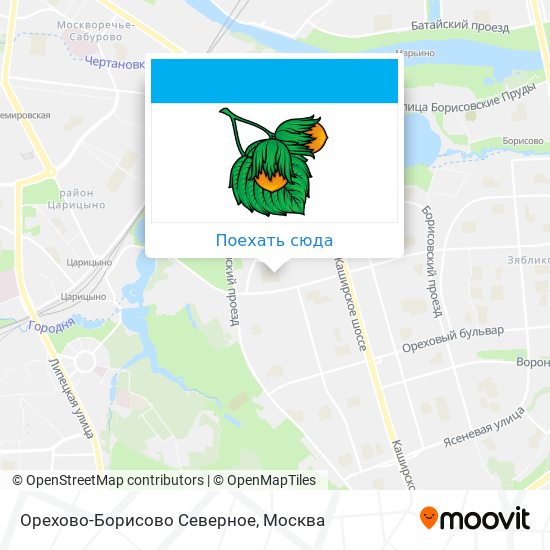 Карта Орехово-Борисово Северное