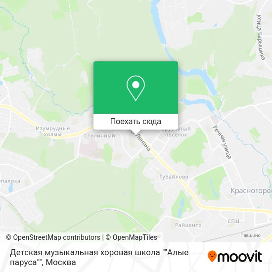 Карта Детская музыкальная хоровая школа ""Алые паруса""