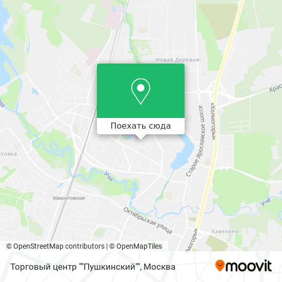 Карта Торговый центр ""Пушкинский""