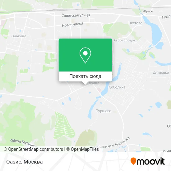 Карта Оазис