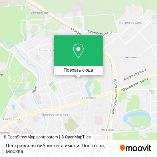 Карта Центральная библиотека имени Шолохова