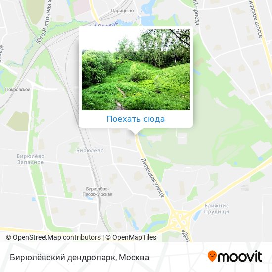 Карта Бирюлёвский дендропарк
