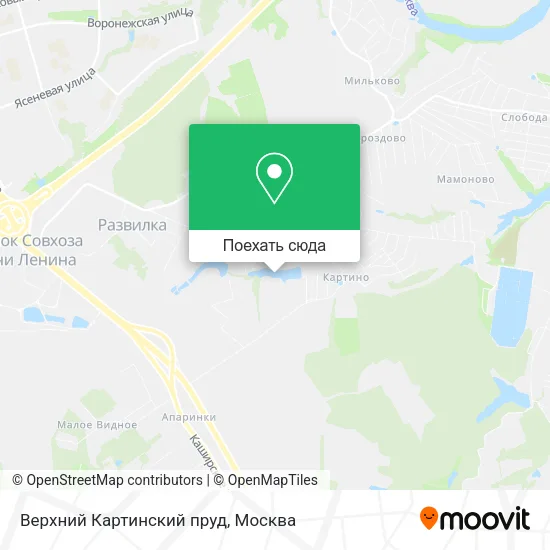 Карта Верхний Картинский пруд