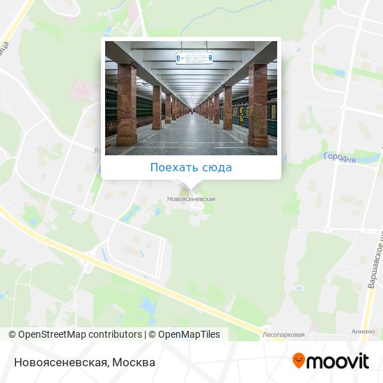 Карта Новоясеневская