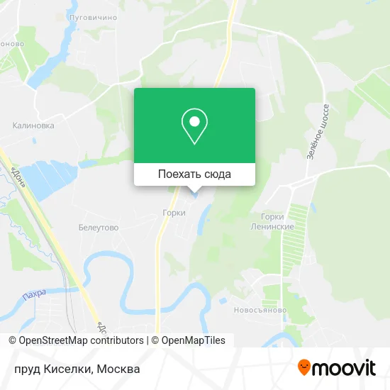 Карта пруд Киселки