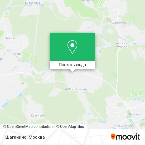 Карта Шаганино