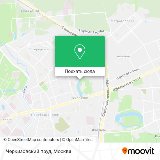 Карта Черкизовский пруд