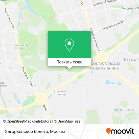 Карта Загорьевское болото