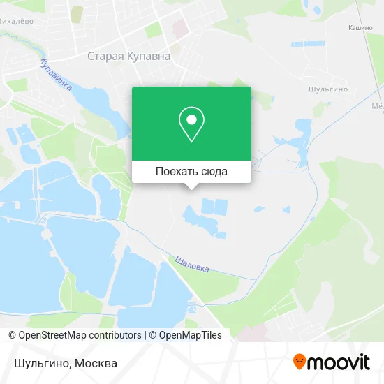 Карта Шульгино