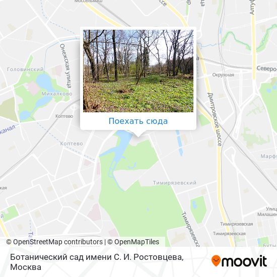 Карта Ботанический сад имени С. И. Ростовцева