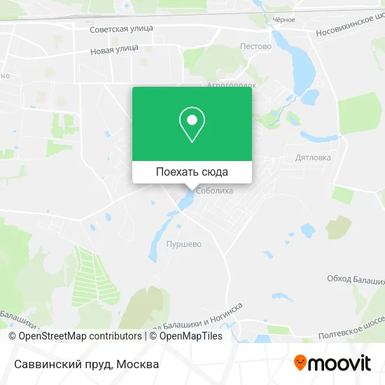Карта Саввинский пруд