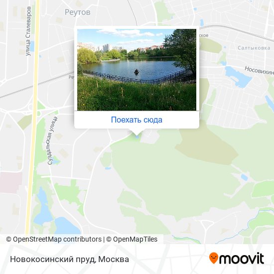Карта Новокосинский пруд