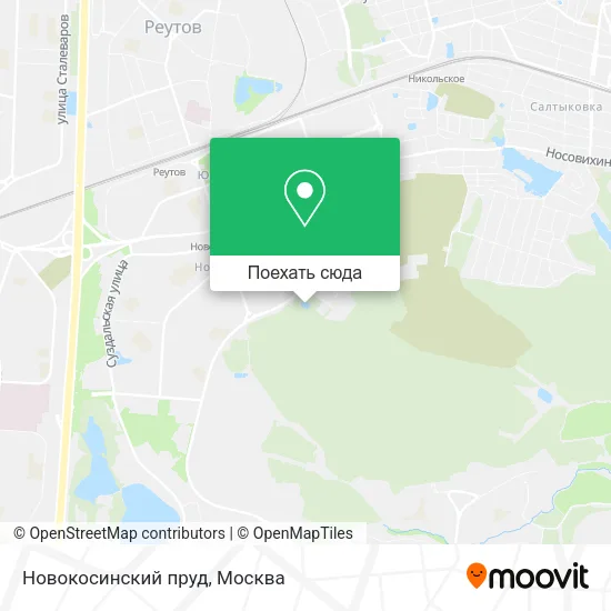 Карта Новокосинский пруд