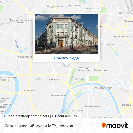 Карта Зоологический музей МГУ