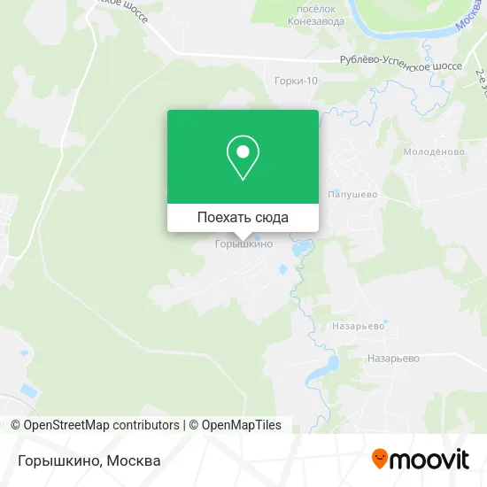 Карта Горышкино