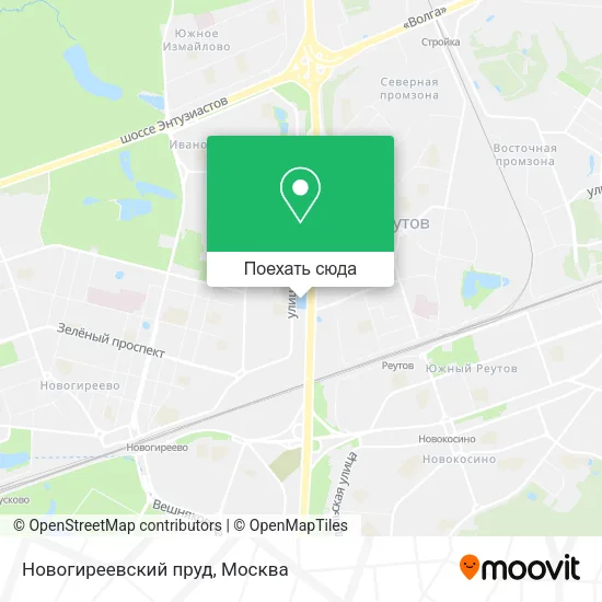 Карта Новогиреевский пруд