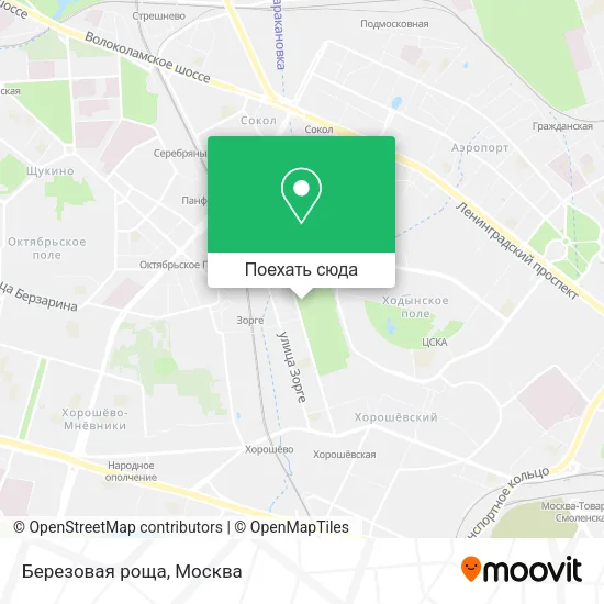 Карта Березовая роща