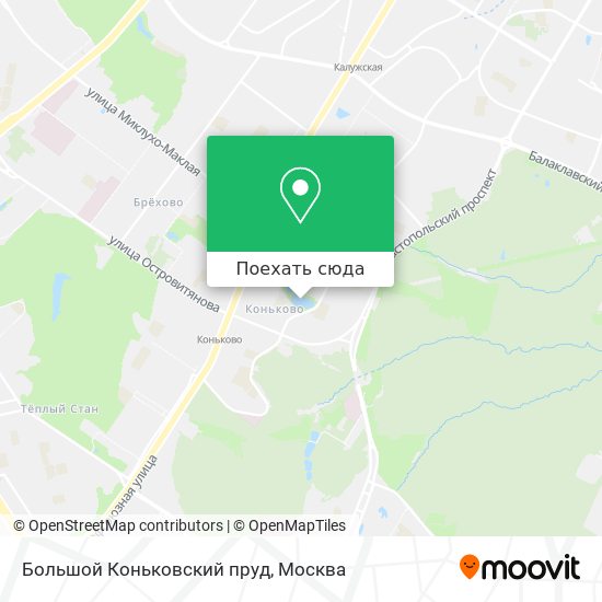 Карта Большой Коньковский пруд