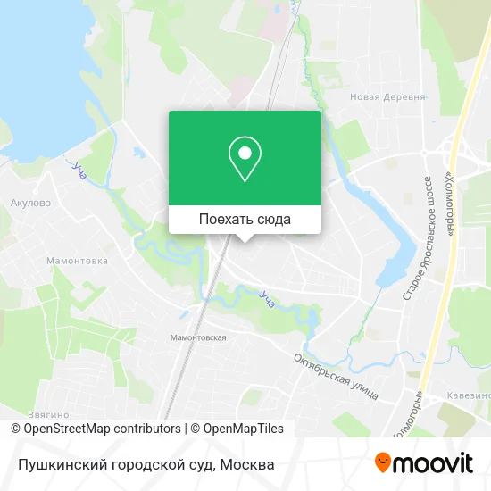 Карта Пушкинский городской суд