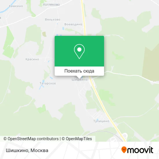 Карта Шишкино