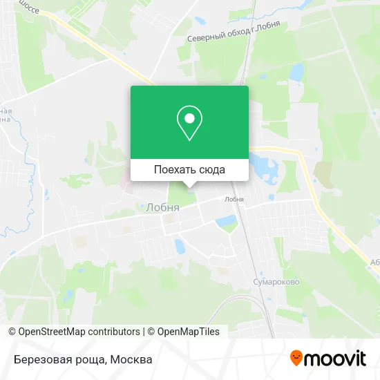Карта Березовая роща