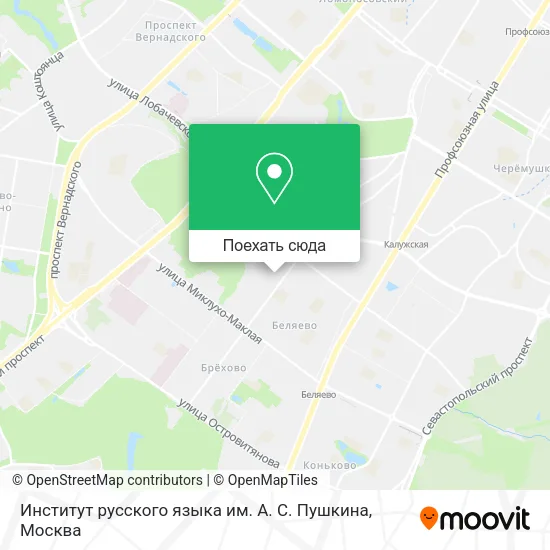 Карта Институт русского языка им. А. С. Пушкина