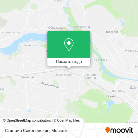 Карта Станция Соколовская