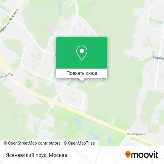 Карта Ясеневский пруд