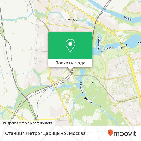 Карта Станция Метро "Царицыно"