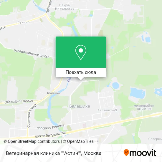 Карта Ветеринарная клиника ""Астин""