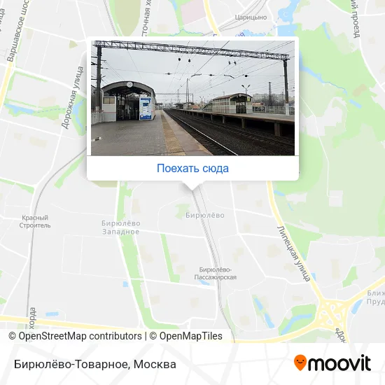 Карта Бирюлёво-Товарное