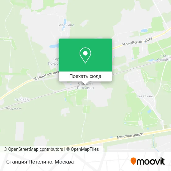 Карта Станция Петелино