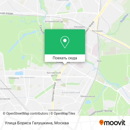 Карта Улица Бориса Галушкина