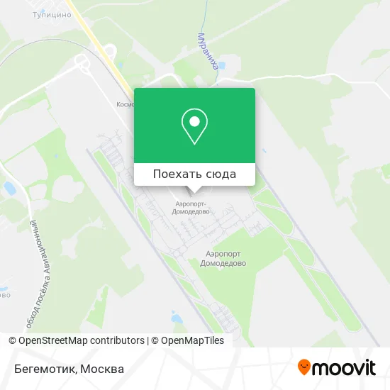 Карта Бегемотик