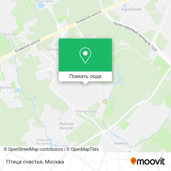 Карта Птица счастья