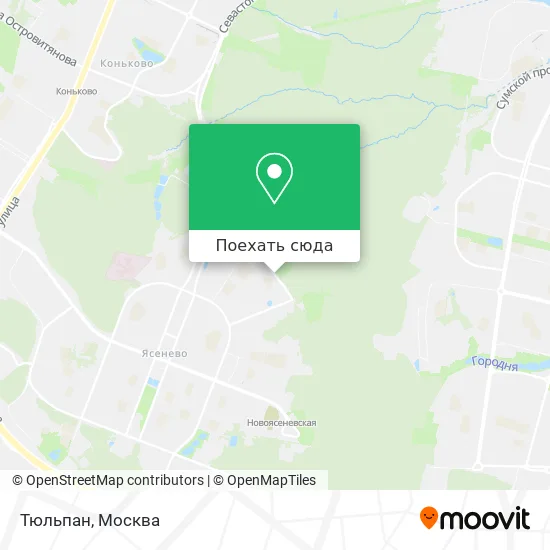 Карта Тюльпан