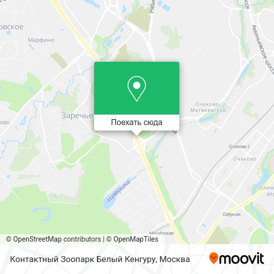 Карта Контактный Зоопарк Белый Кенгуру