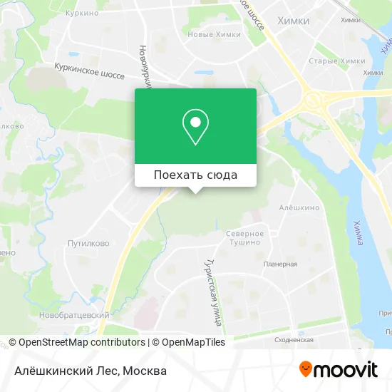 Карта Алёшкинский Лес