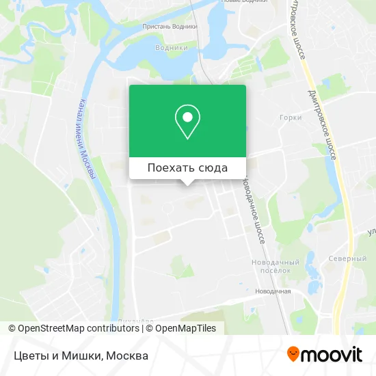 Карта Цветы и Мишки