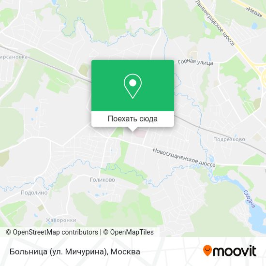 Карта Больница (ул. Мичурина)