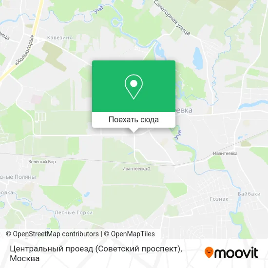 Карта Центральный проезд (Советский проспект)
