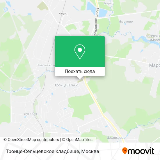 Карта Троице-Сельцевское кладбище