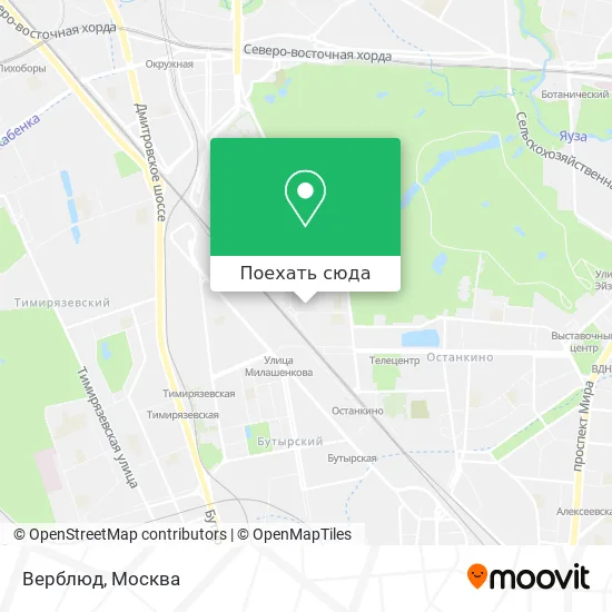 Карта Верблюд