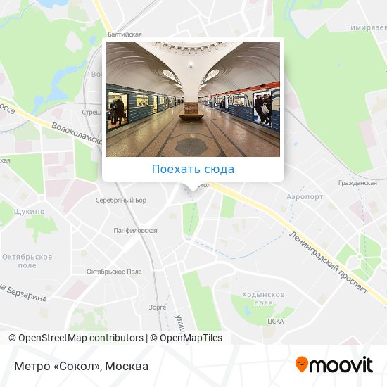 Карта Метро «Сокол»