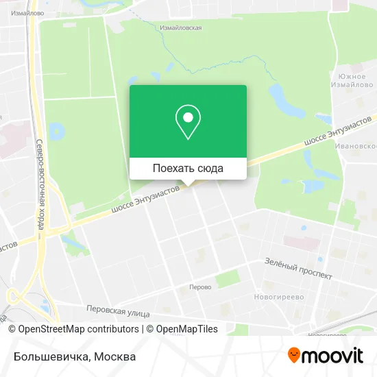 Карта Большевичка