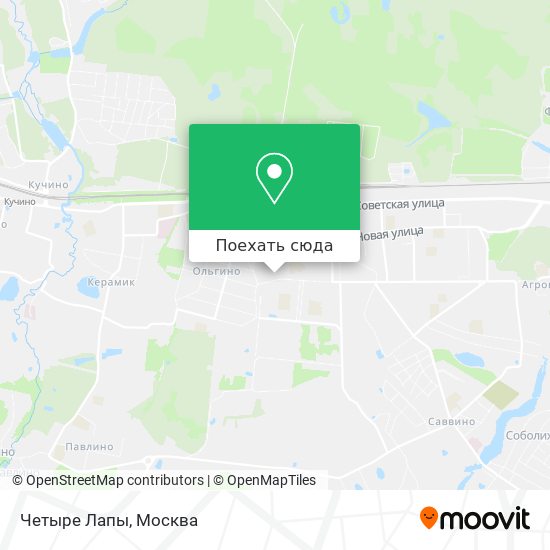 Карта Четыре Лапы