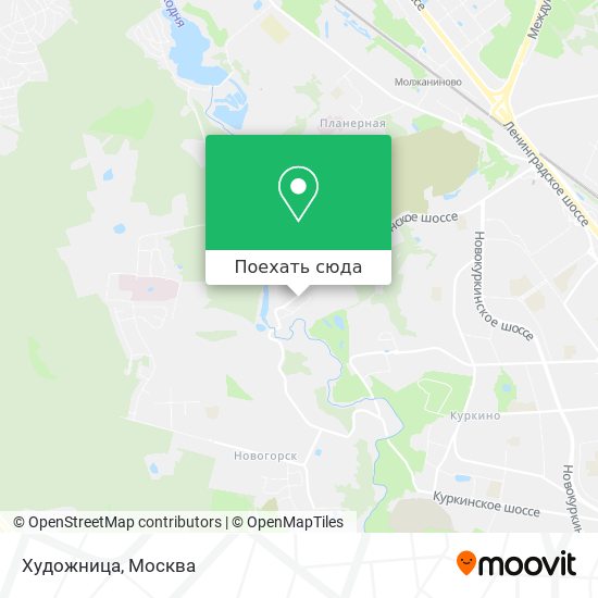 Карта Художница